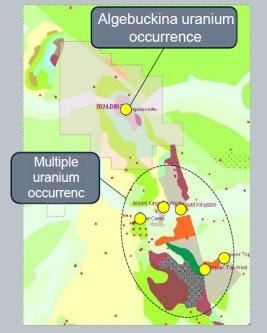 Algebuckina uranium project regional map — uranium occurrences, drill hole positions, and project boundary, South Australia